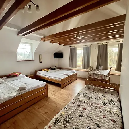 Country house Penzion Vedomice *