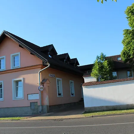 Country house Penzion Vedomice