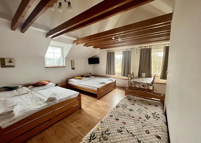 Casa rural Penzion Vedomice *